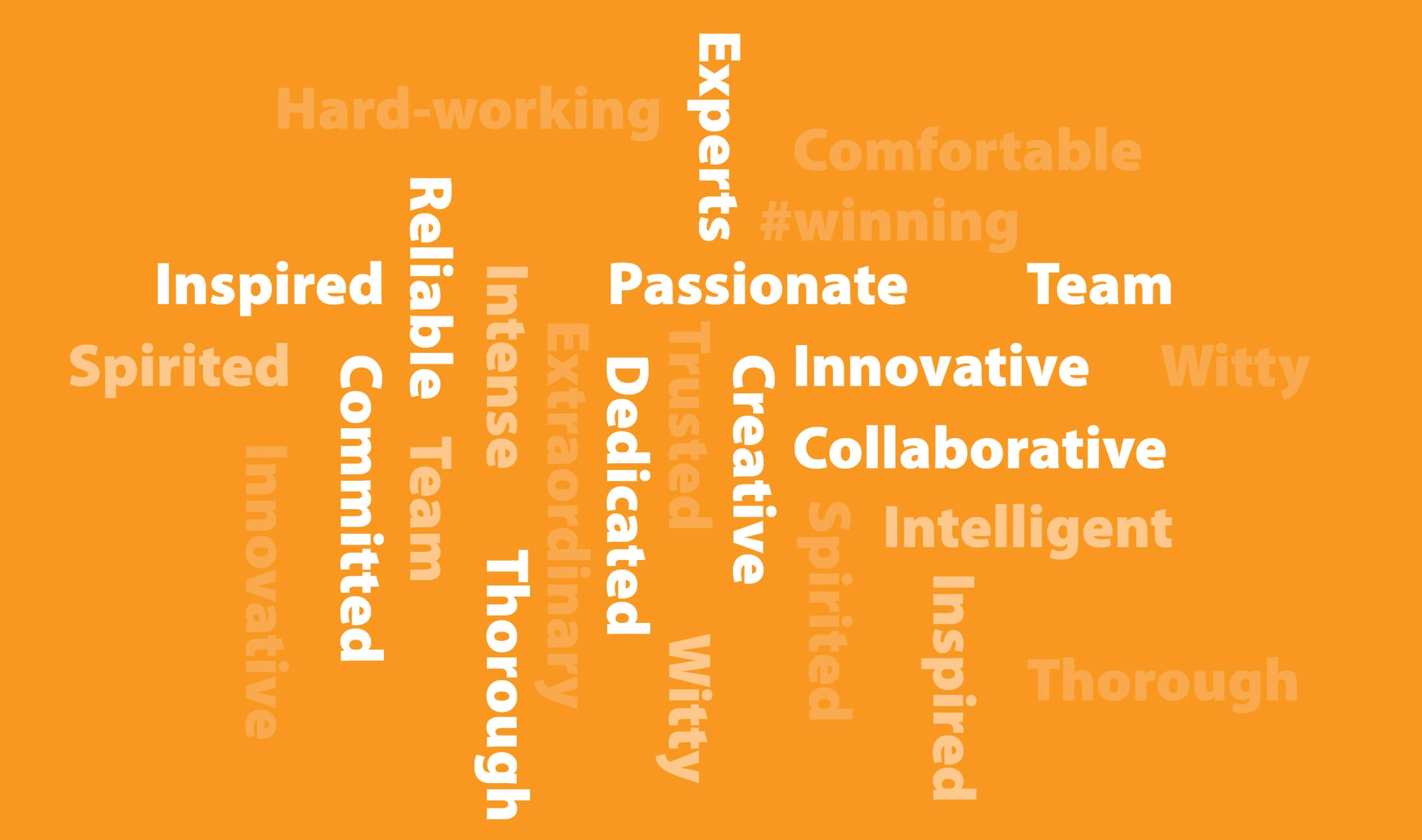 Words that describe our team