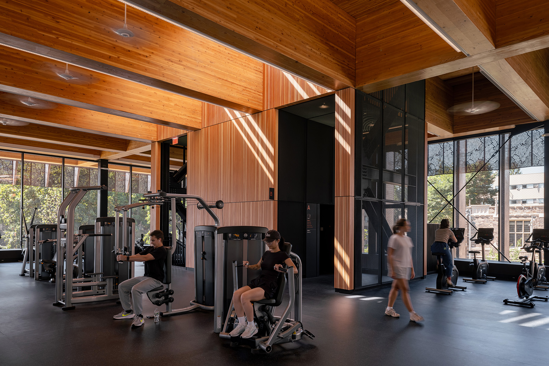 Linear lighting integrated into the mass timber ceiling creates warm, even illumination throughout the fitness area.