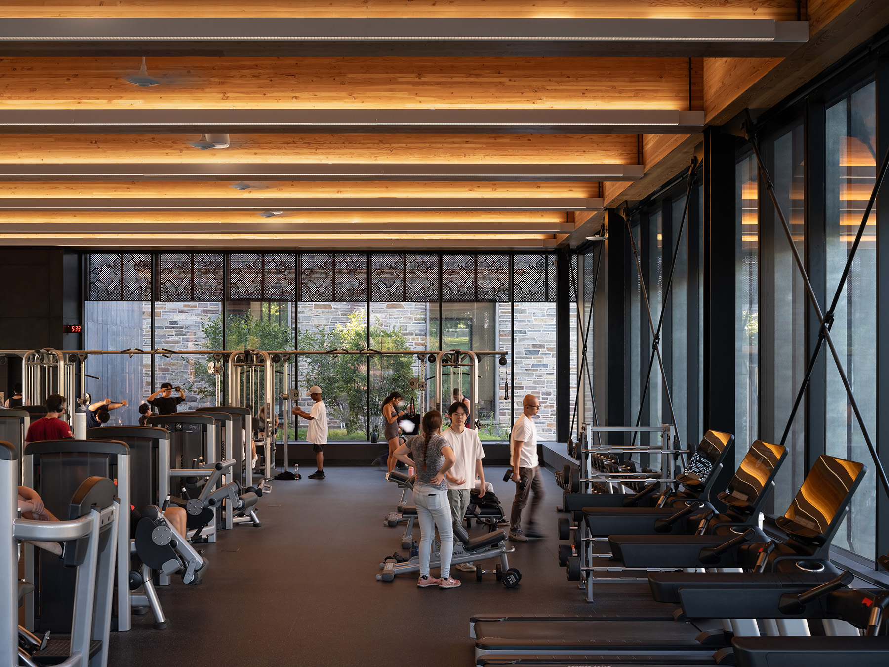 Linear lighting integrated into the mass timber ceiling creates warm, even illumination throughout the fitness area.
